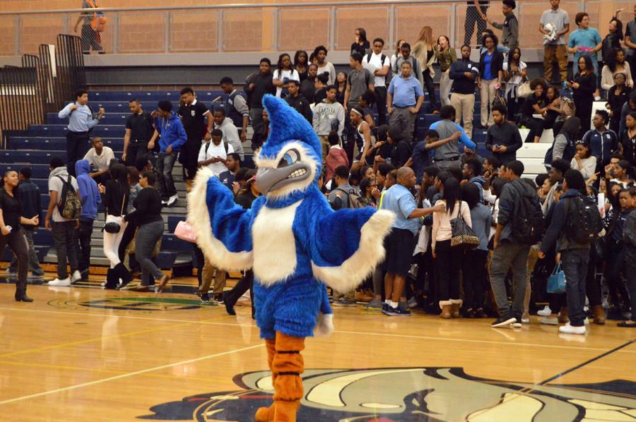 Dont tell anybody, but thats Turquoise Clark inside the Blue  Jay mascot costume.