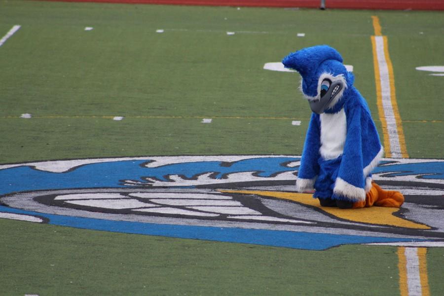 The Blue Jay mascot admires his image on the football field and mourns that the blue jay will be replaced by a new mascot when Southfield High merges with Southfield-Lathrup in the fall of 2016.