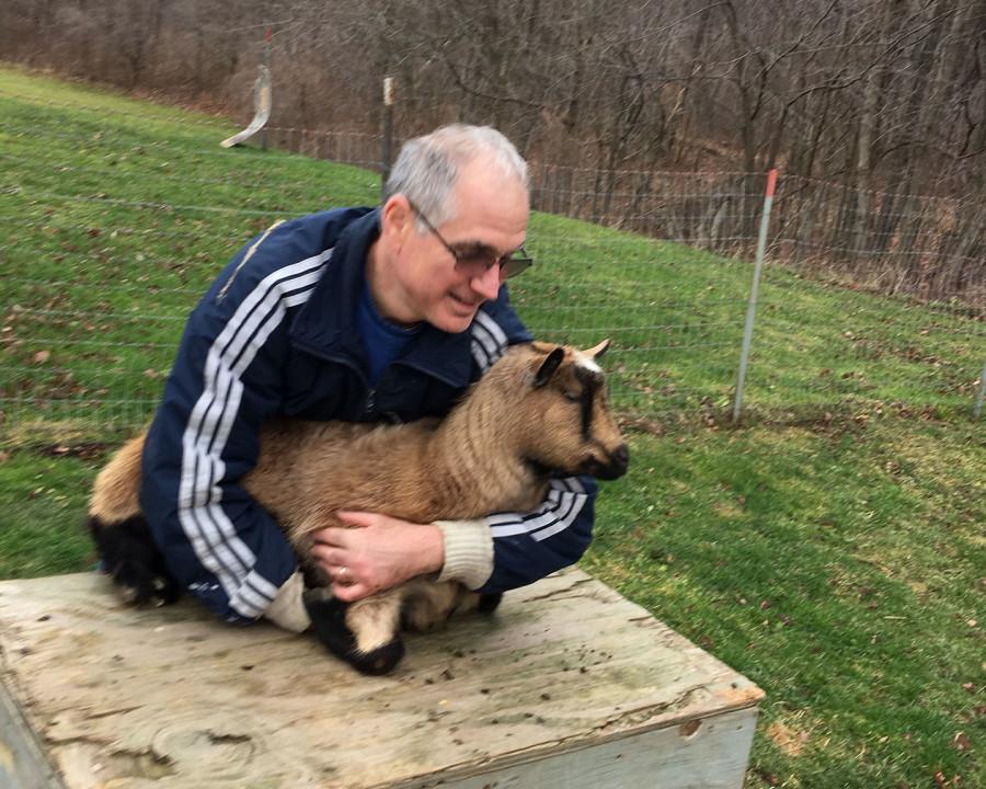Science teacher Fred Pellerito has two cats, three goats and two dogs. Pictured is goat Penelope.
